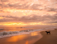 Load image into Gallery viewer, 2026 Outer Banks Annual Wall Calendar - 9th Annual Edition