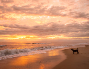 2026 Outer Banks Annual Wall Calendar - 9th Annual Edition