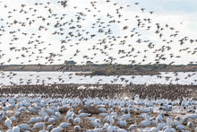 Load image into Gallery viewer, 2025 Outer Banks Annual Wall Calendar - 8th Annual Edition