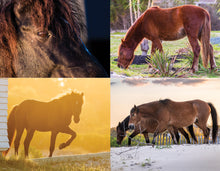 Load image into Gallery viewer, 2025 Outer Banks Annual Wall Calendar - 8th Annual Edition