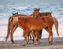 Load image into Gallery viewer, 2027 Outer Banks Annual Wall Calendar - 10th Annual Edition