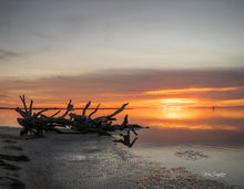 Load image into Gallery viewer, 2027 Outer Banks Annual Wall Calendar - 10th Annual Edition