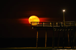 Journey Through The Outer Banks - Autographed Copy