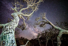 Load image into Gallery viewer, Journey Through The Outer Banks - Autographed Copy